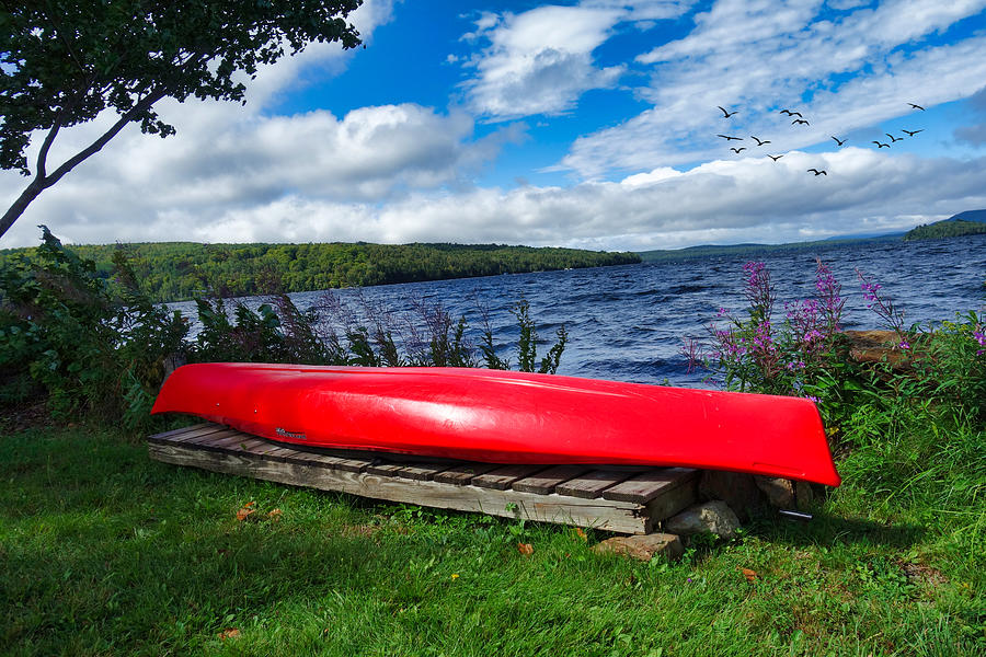 Red Kayak and Geese Flying Photograph by Russel Considine