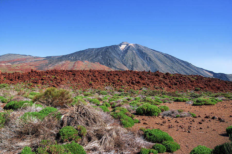 Red Lava Field In Front Of Mount Teide Photograph
