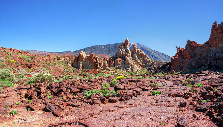 Red lava rock in the Teide National Park Photograph by Sun Travels