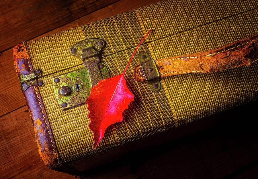 Red Leaf On Old Suitcase Photograph by Garry Gay