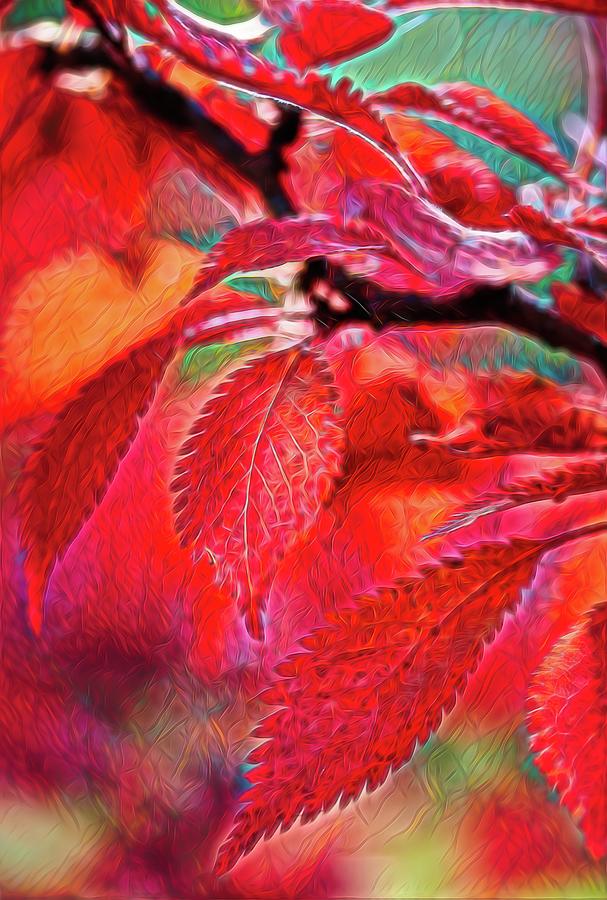 Red Leaves Glow Digital Art by Mo Barton