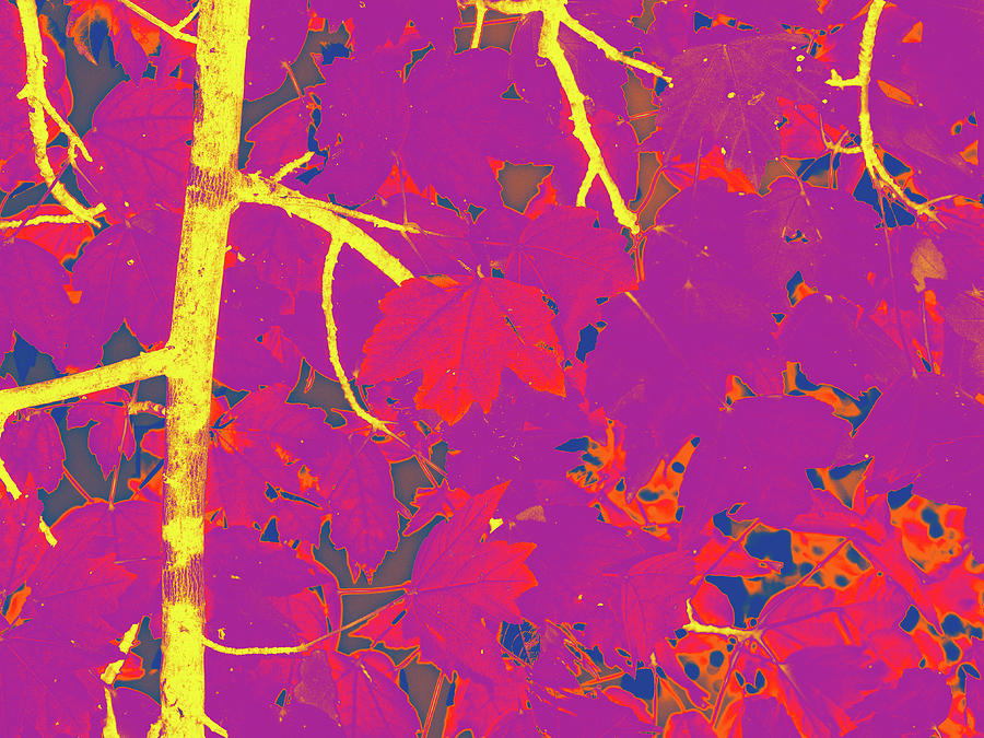 Red Leaves On Green Digital Art by David Desautel