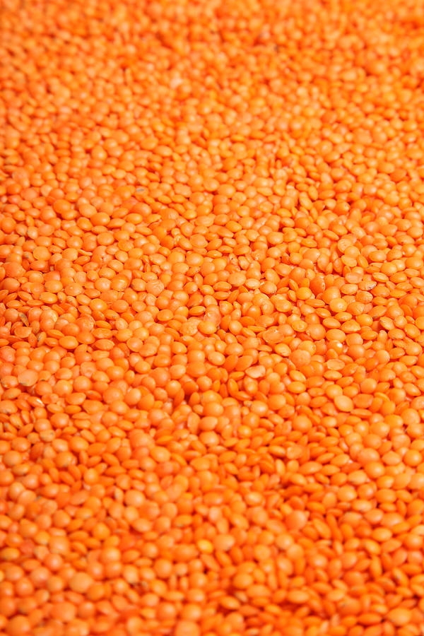 Red Lentils Photograph by Harmpeti