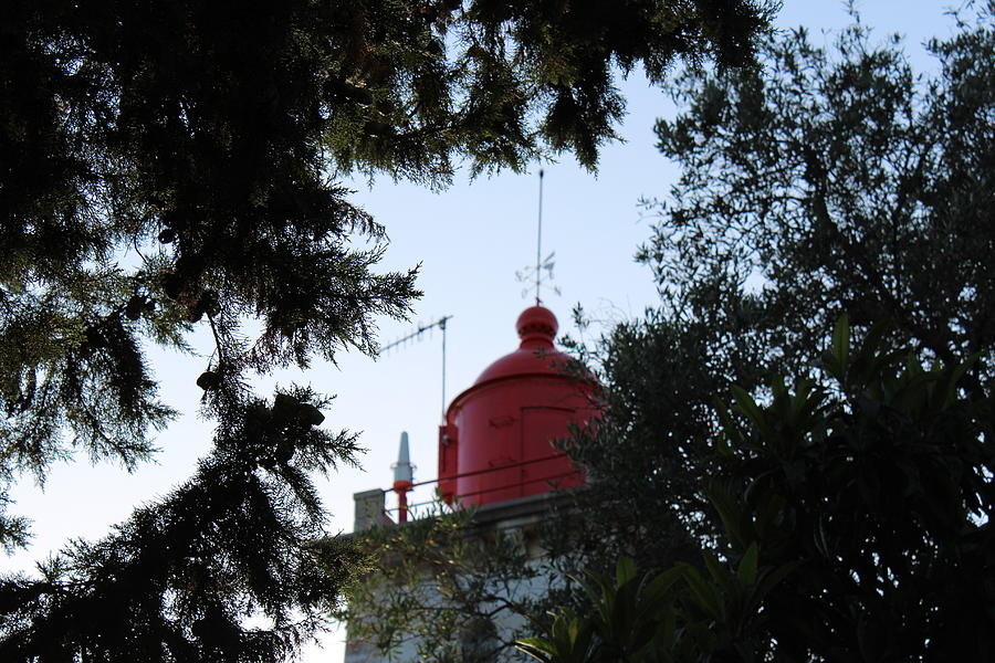 Red Lighthouse Photograph by Taniabarreira