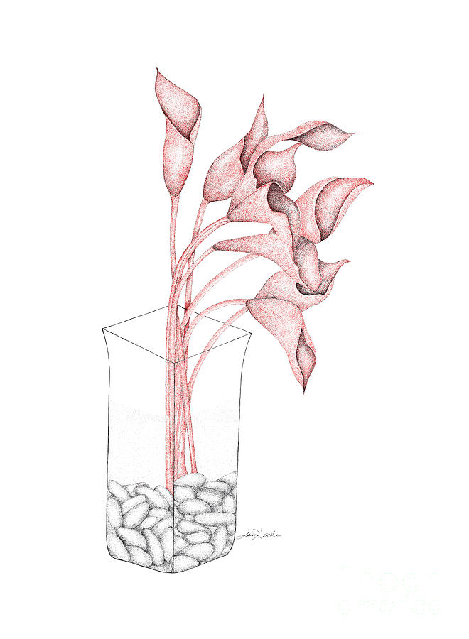 Red Lilies Drawing by Lisa Senette