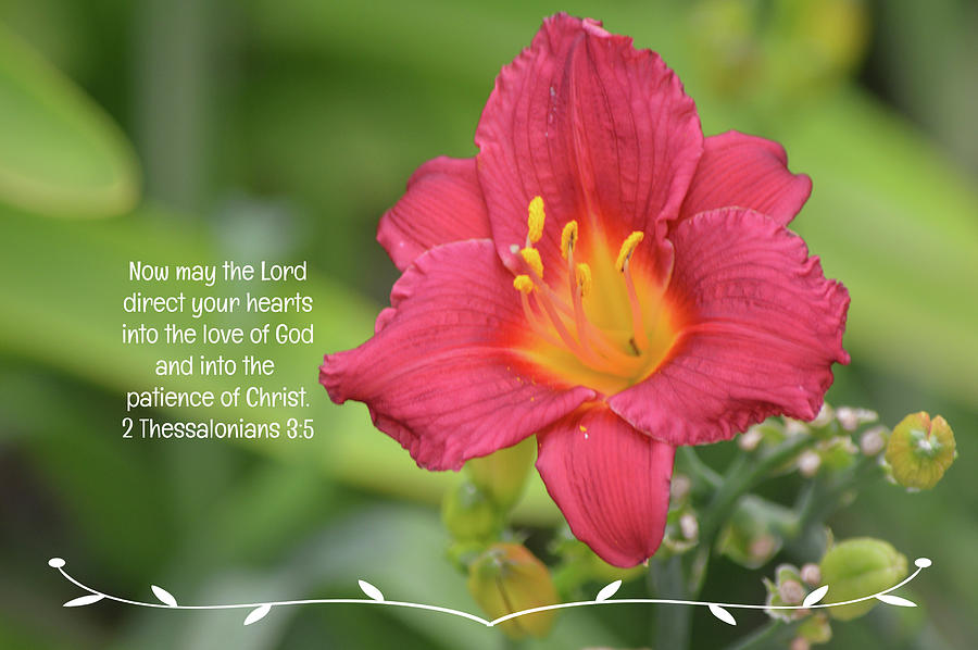 Red Lily and Scripture Photograph by Gaby Ethington - Fine Art America