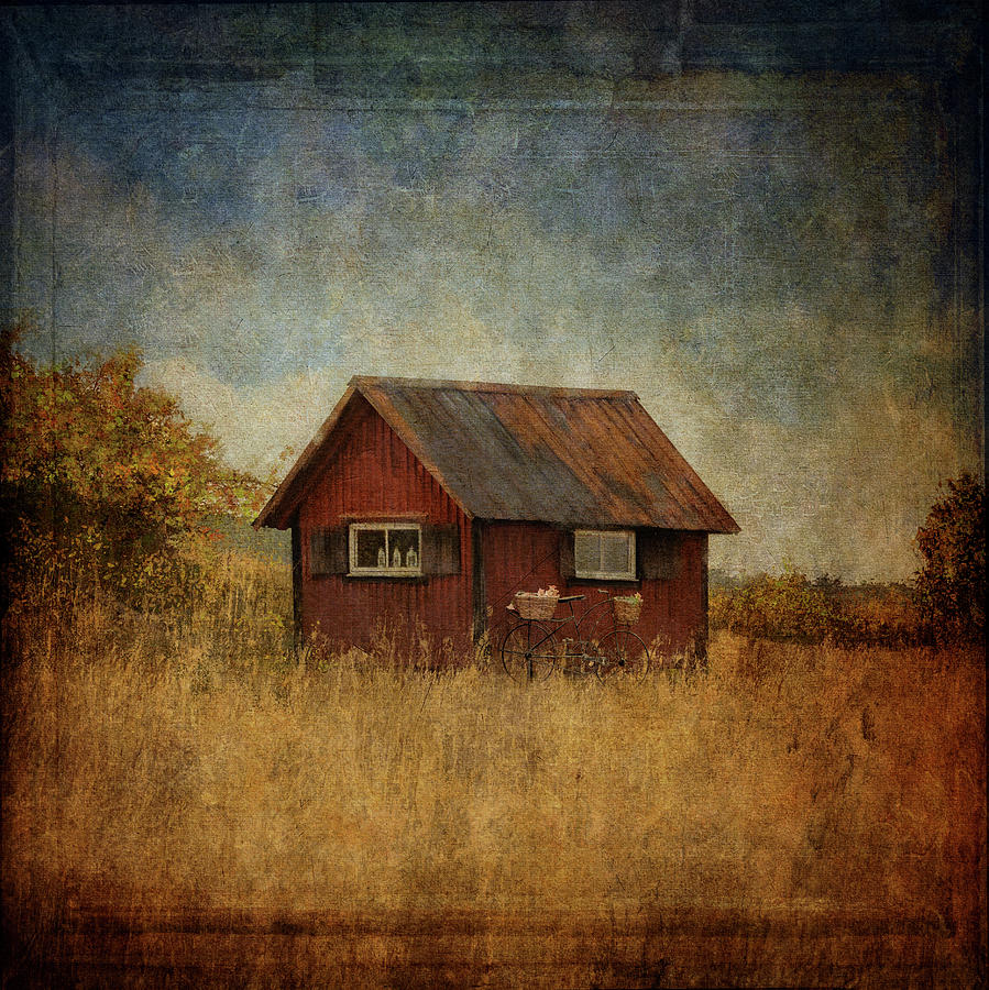 Red Little House Photograph by Maria Angelica Maira