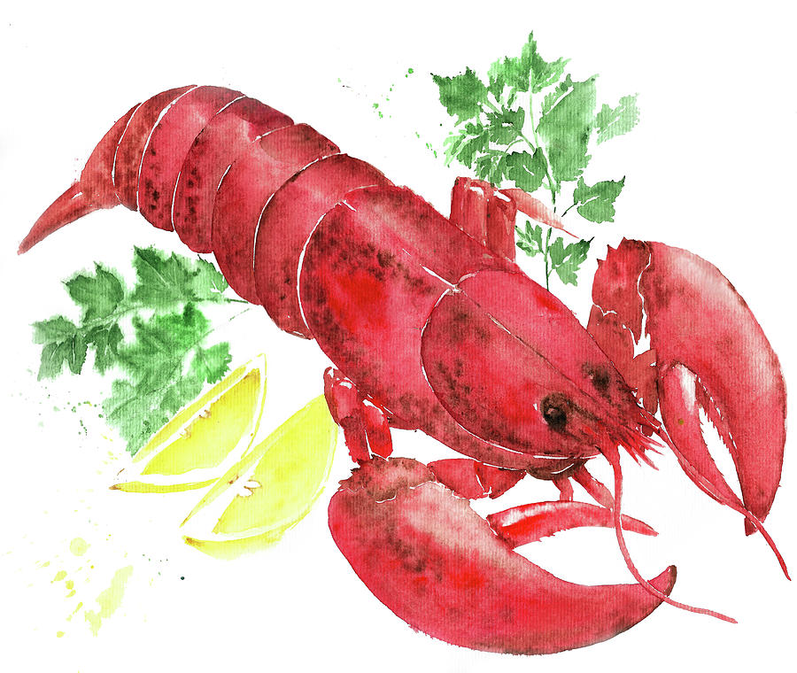 Red Lobster Drawing by Liliya Suleymanova Pixels