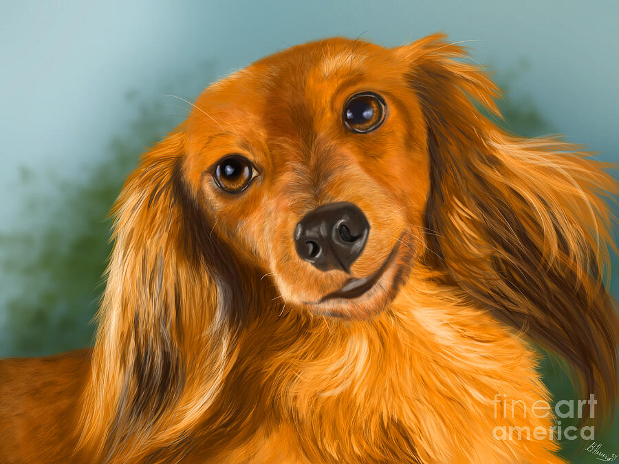 Red Long Haired Dachshund Painting by Becky Herrera