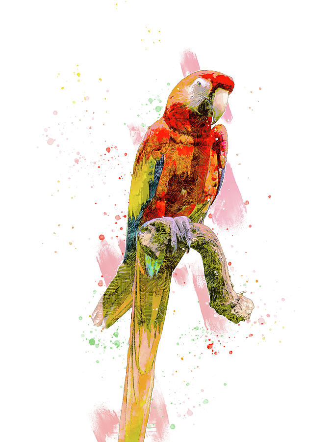 Red Macaw Sitting on Perch Mixed Media by Pamela Williams