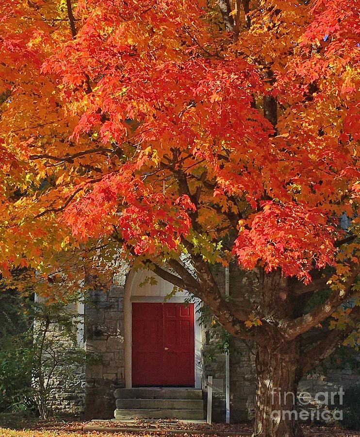 Red Maple Red Doors Photograph by Chris Scroggins