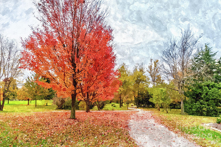Red Maple Trees Along The Walk Painterly Mixed Media by Jennifer White
