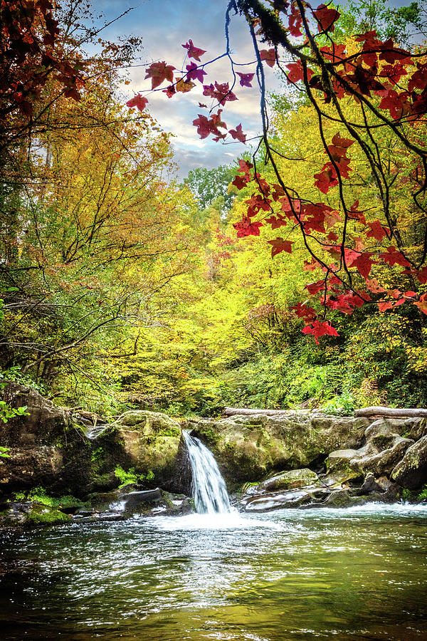 Red Maples at the Smoky Mountain Waterfall Photograph by Debra and Dave Vanderlaan