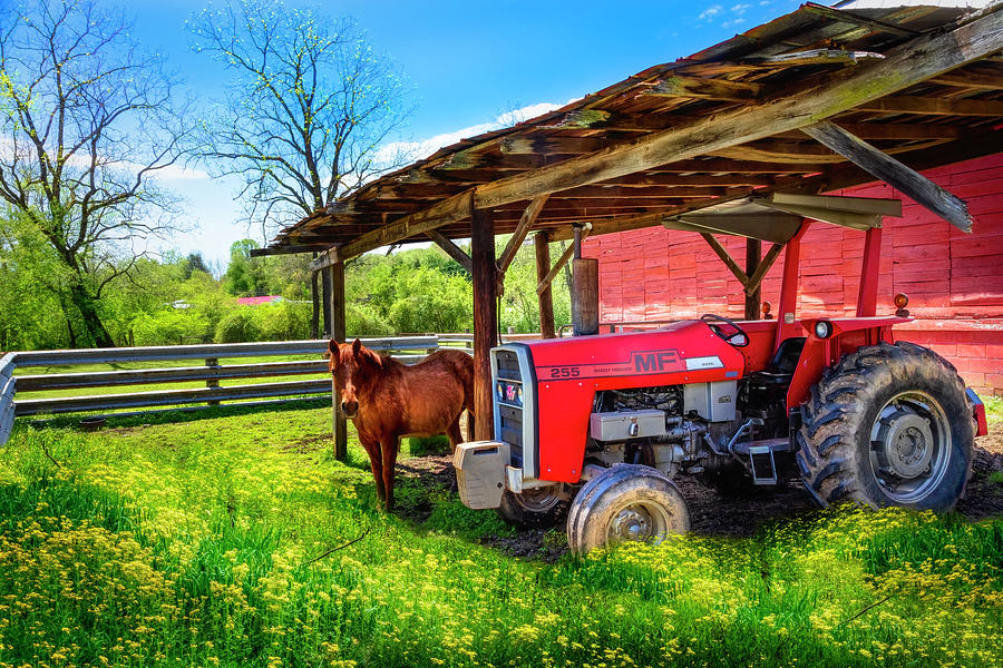 Red Massey Ferguson Tractor at the Farm Photograph by Debra and Dave Vanderlaan
