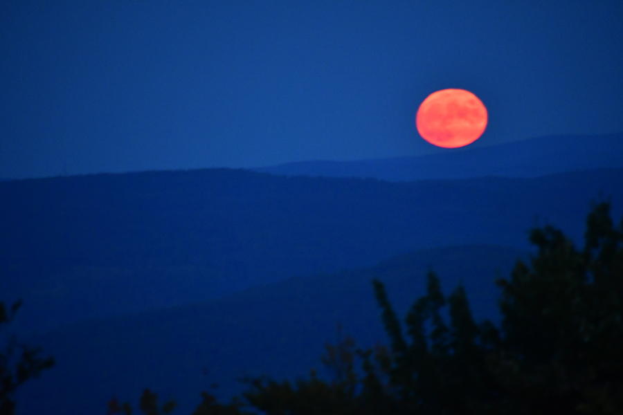 Red Moon Photograph by Betsy Gray - Fine Art America