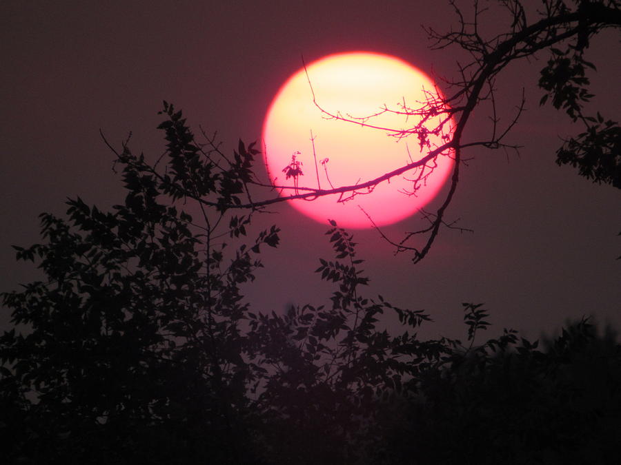 Red moon Photograph by Kathleen Knudsen - Fine Art America