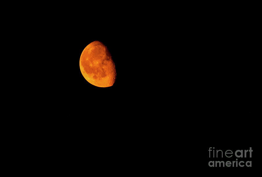 Red Moon Photograph by Nina Ficur Feenan