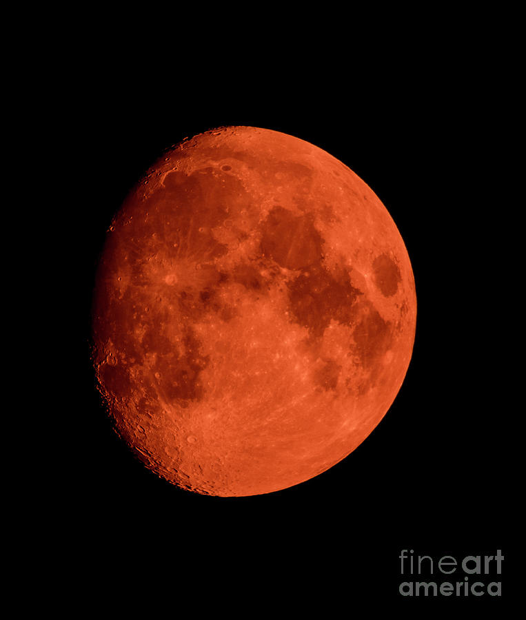 Red Moon Rising Photograph