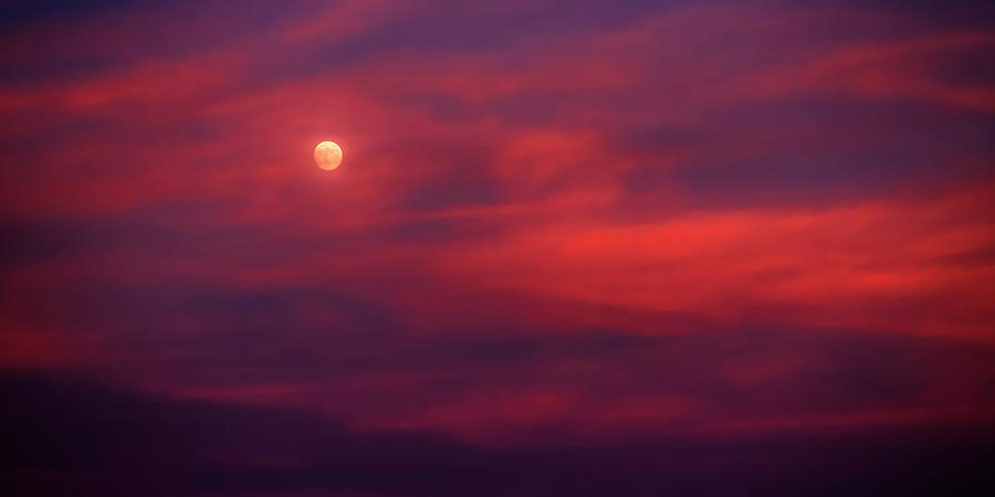Red Moon Photograph by Steve Sullivan