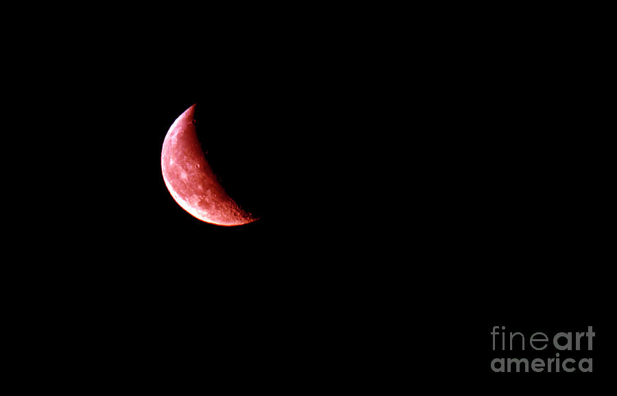 Red Moon Waning Gibbous  Photograph by Nina Ficur Feenan