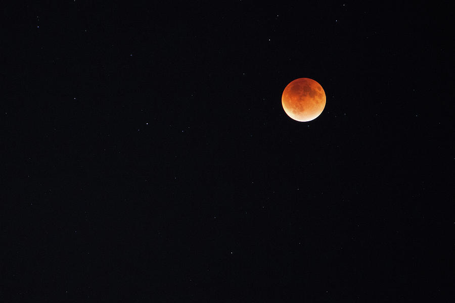 Red Moon_092715 Photograph by Rocco Leone