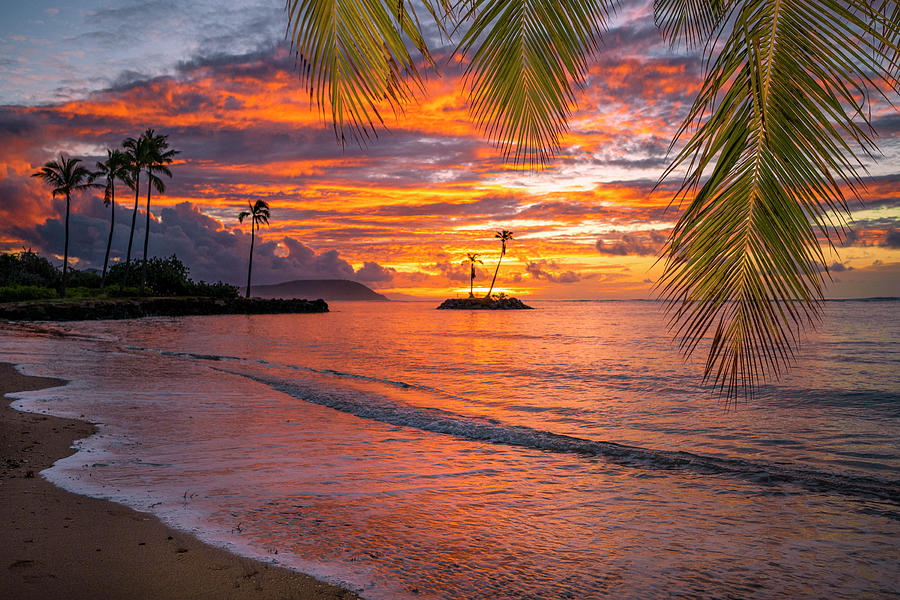 Red Morning Hawaii  Photograph by Leonardo Dale