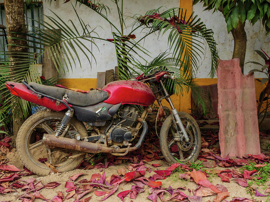 Red Motorcycle and Red Leaves Photograph by Rob Huntley