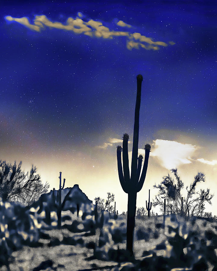 Red Mountain, 3am, Saguaros Vertical, Arizona Photograph by Don Schimmel