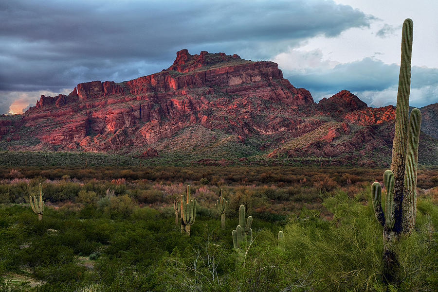 Red Mountain Sunset Photograph by Dave Dilli
