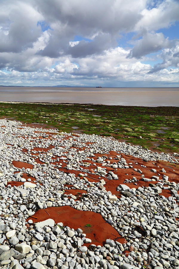 Red mudstone and grey limestone pebbles South Wales UK  Photograph by James Brunker