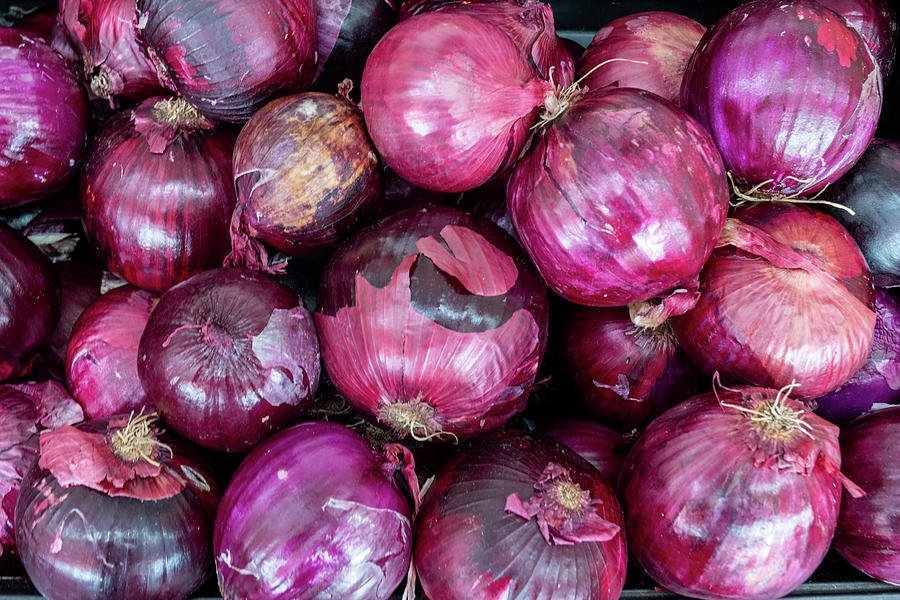 Red Onions  Photograph by Bradford Martin