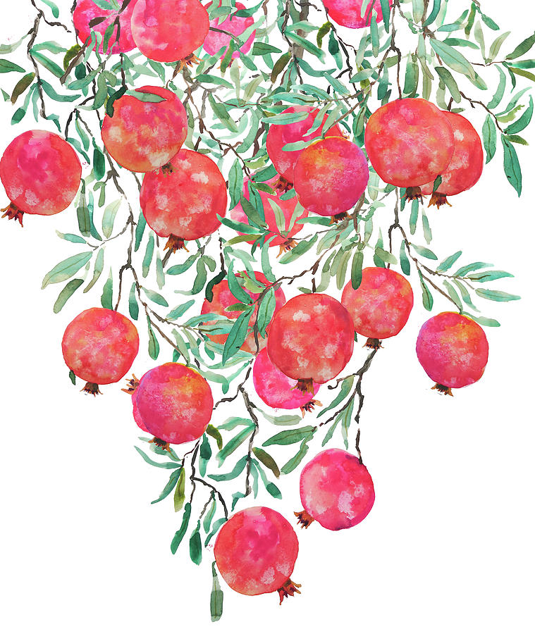 pomegranate watercolor painting