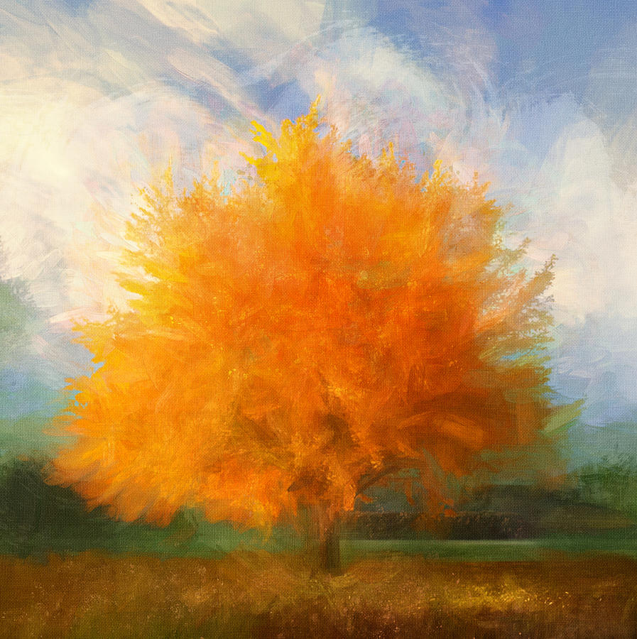 Red Orange Tree Digital Art by Terry Davis