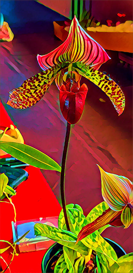 Red Orchidee Aloha  Photograph by Joalene Young