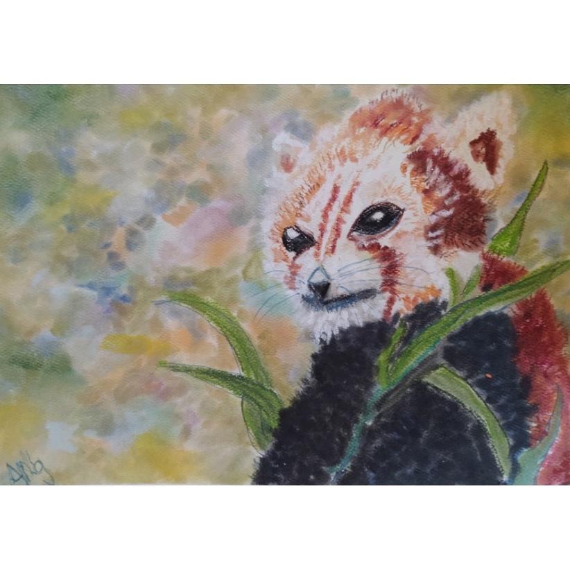 Red Pastel - Red Panda by Angela Lasky