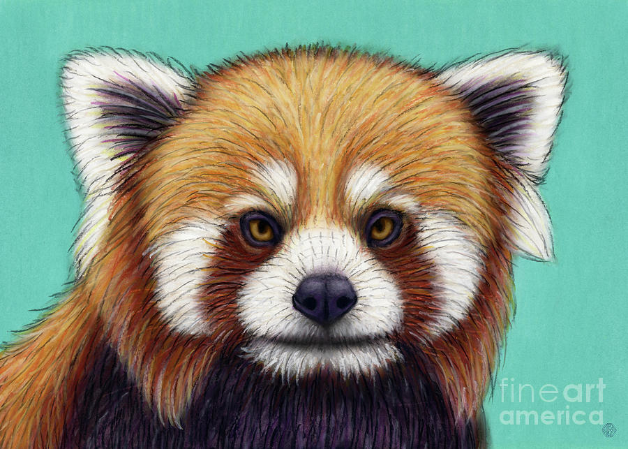 Red Panda Gaze Painting by Amy E Fraser