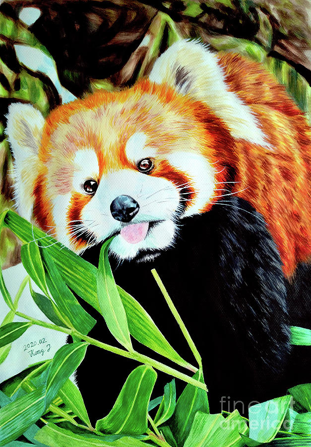 Red panda Painting by Jing Kong | Fine Art America