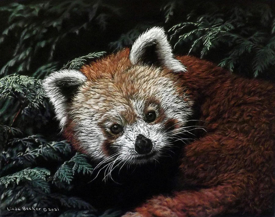 Red Panda Painting by Linda Becker