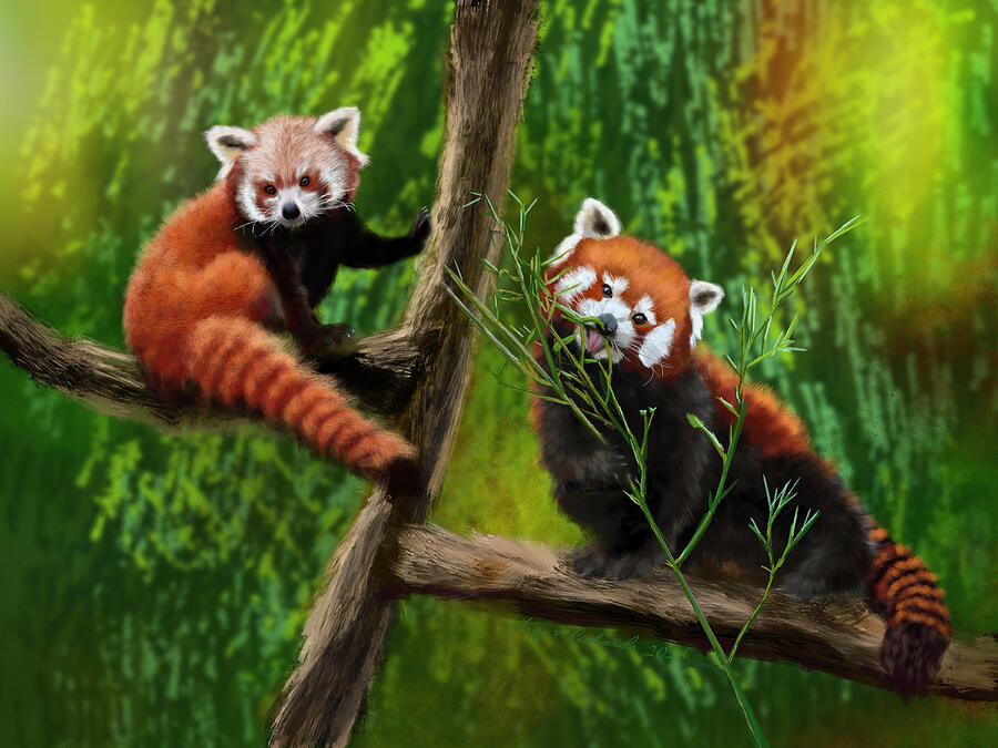 Nature Painting - Red Panda Pals by Gary F Richards