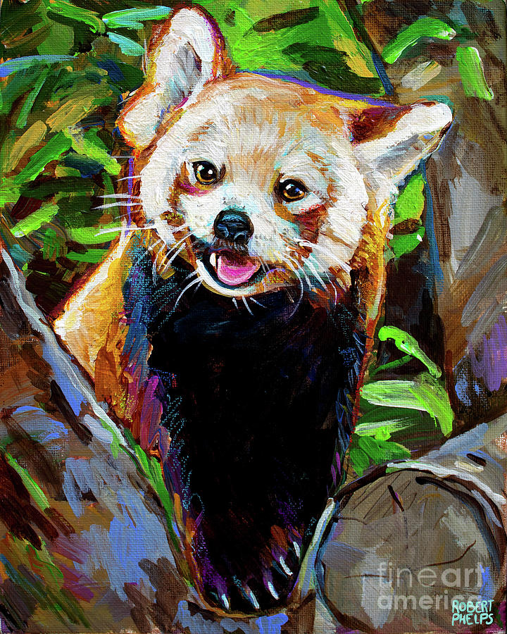 Red Panda Painting by Robert Phelps - Fine Art America