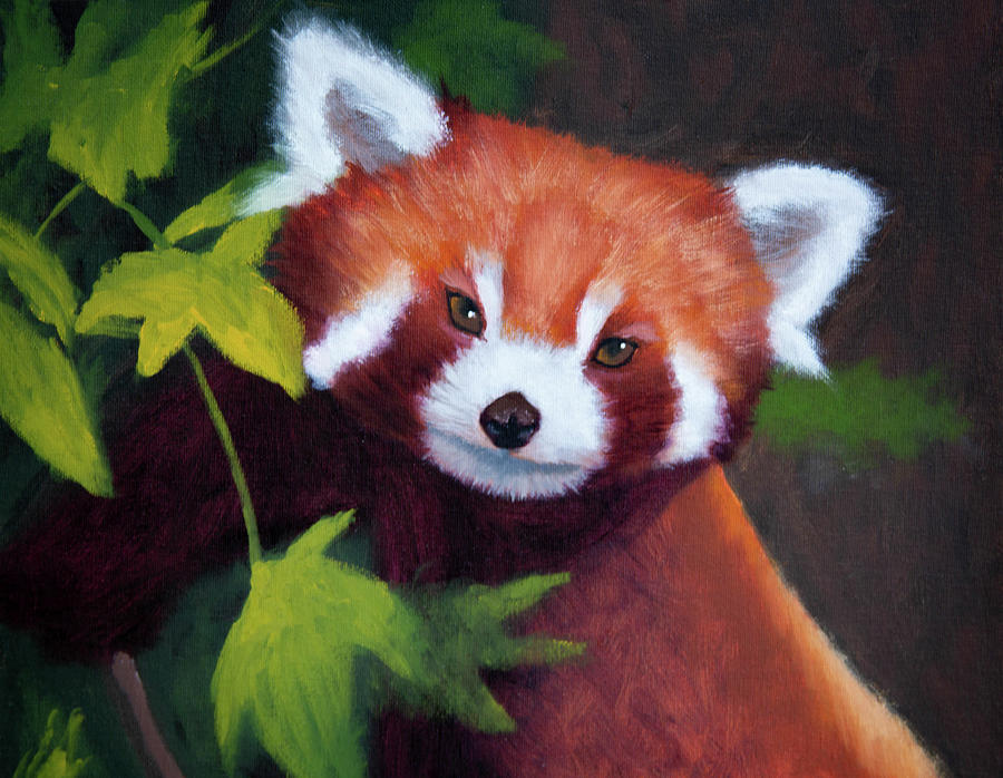 Red Panda Painting By Sierra Bradbury - Fine Art America