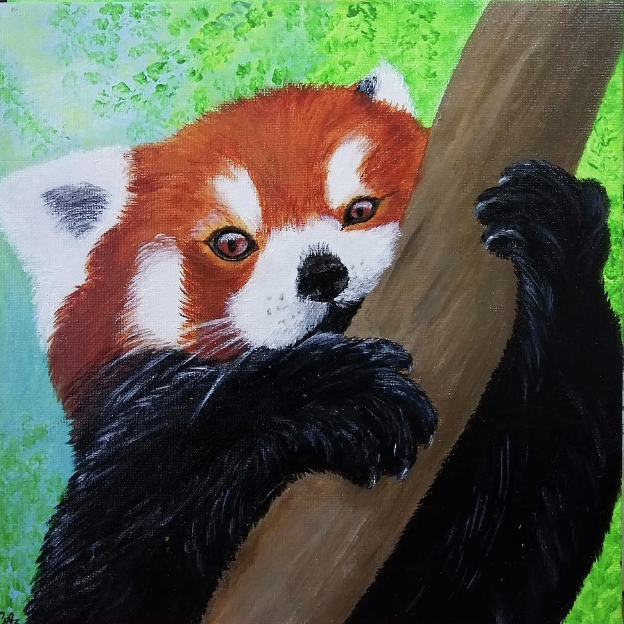 Red Panda Painting by Svetlana Misyura - Fine Art America