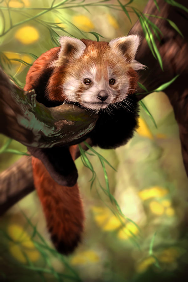 Red Panda Digital Art by Vince Diodato - Fine Art America