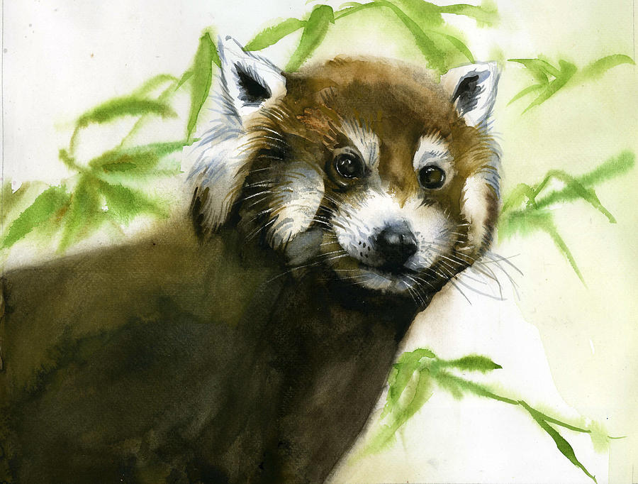 Red Panda Watercolor Painting by Alfred Ng