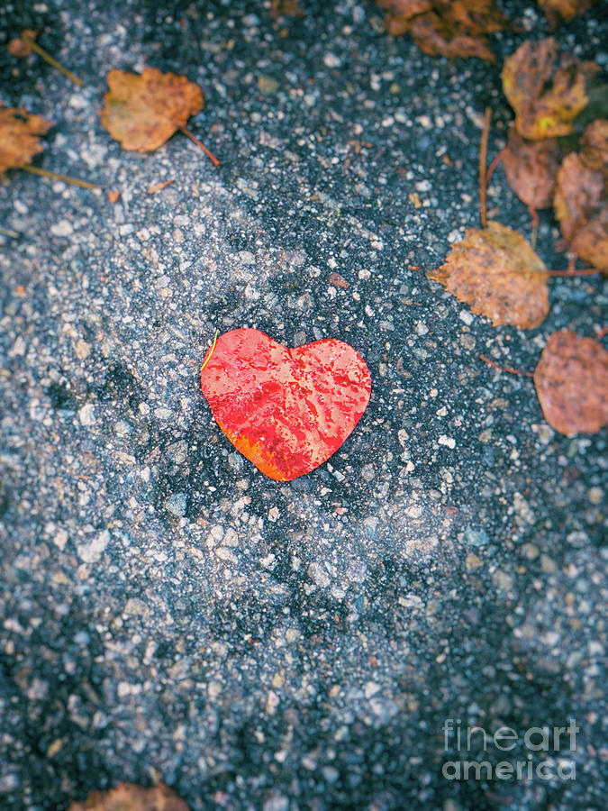 Red paper heart Photograph by Silvia Ganora