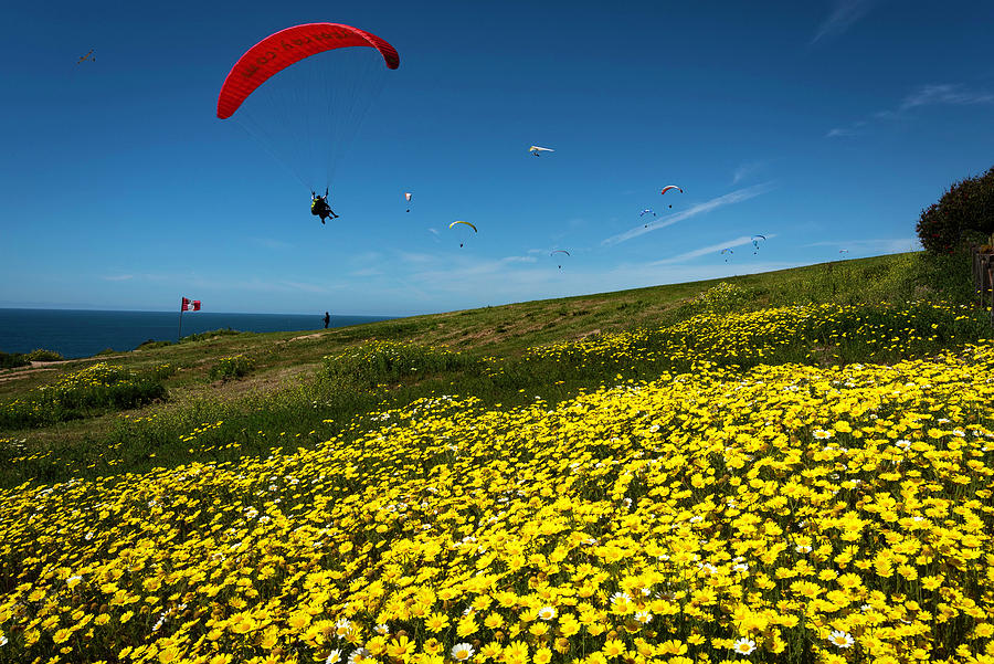 Red Paraglider in Spring  Photograph by Scott Cunningham