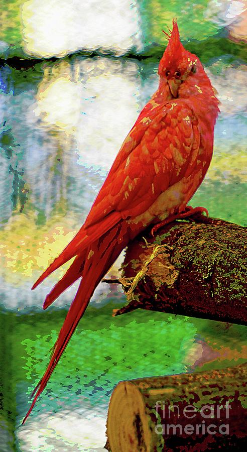 Red Parakeet Mixed Media by Ian Gledhill