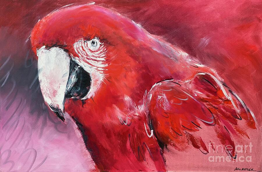 Red Parrot Painting by Alan Metzger