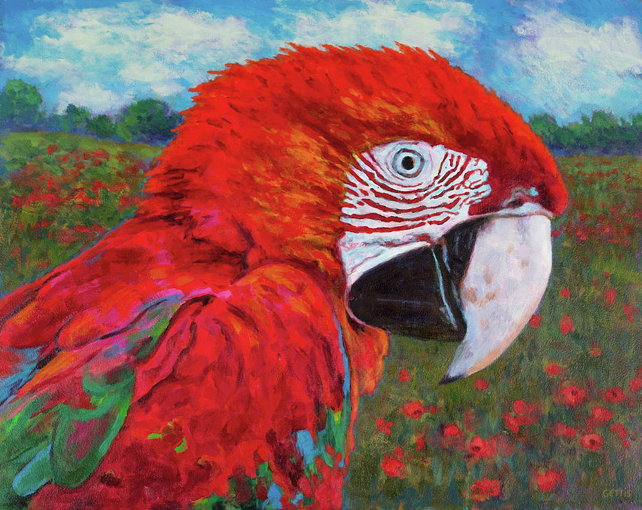 Red Parrot Painting by Jeff Gettis