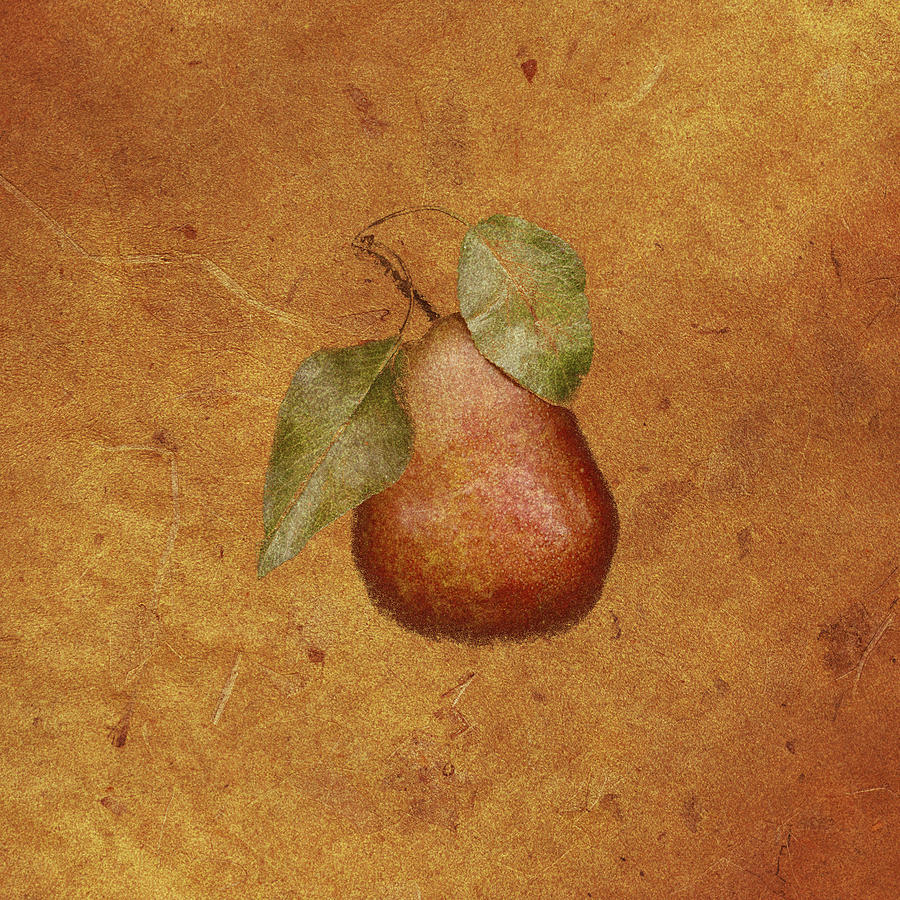 Red Pear Drawing by Jeff Venier